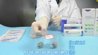 Florürlü Yumurta Testi